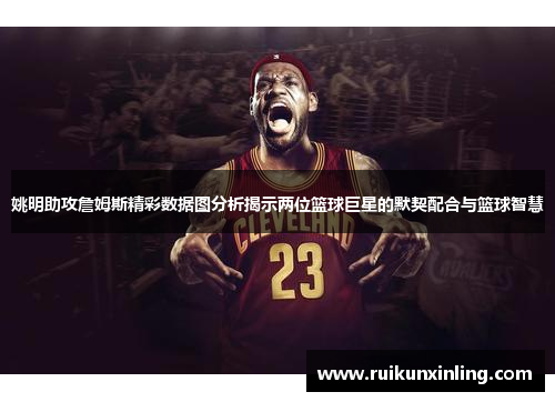 姚明助攻詹姆斯精彩数据图分析揭示两位篮球巨星的默契配合与篮球智慧