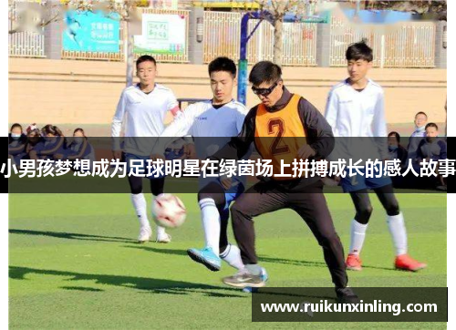 小男孩梦想成为足球明星在绿茵场上拼搏成长的感人故事