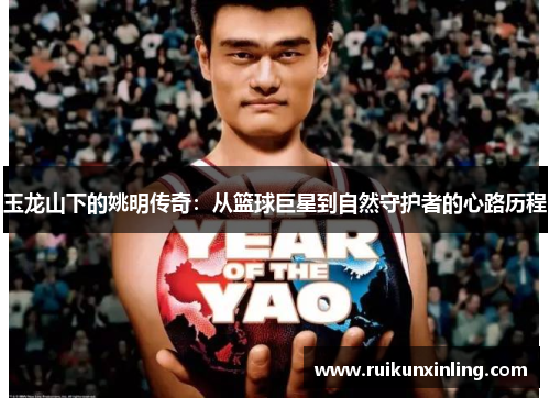 玉龙山下的姚明传奇：从篮球巨星到自然守护者的心路历程